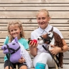 Pluszowe warzywa owoce marchew jabłko cukier dla Hobby Horse - Skippi